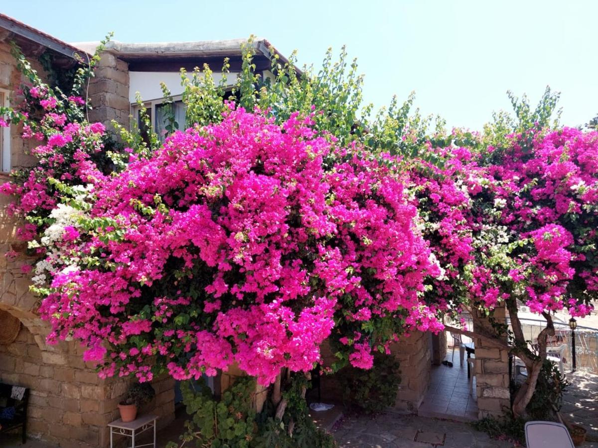 Cyprus Villages - Bed & Breakfast - With Access To Pool And Stunning View Tochni Exterior photo